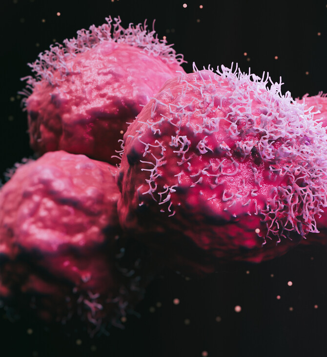 Ιοί εκατομμυρίων ετών βοηθούν στην καταπολέμηση του καρκίνου, λένε οι επιστήμονες