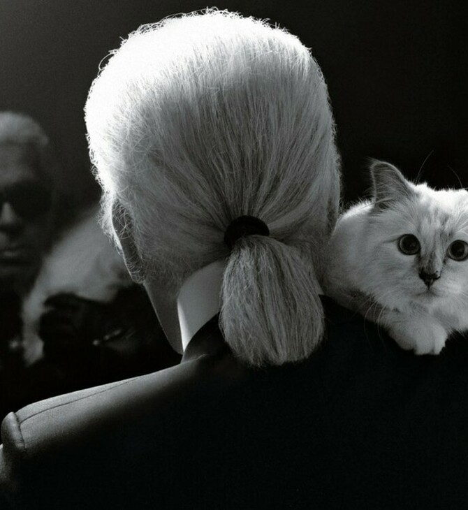 Choupette: Τι απέγινε το 1,5 εκατομμύριο δολάρια που κληρονόμησε η γάτα του Karl Lagerfeld