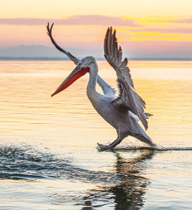 Birdwatching, σπηλαιοκαταδύσεις, μπάνιο σε καταρράκτες: Η άλλη πλευρά της Μεσσηνίας