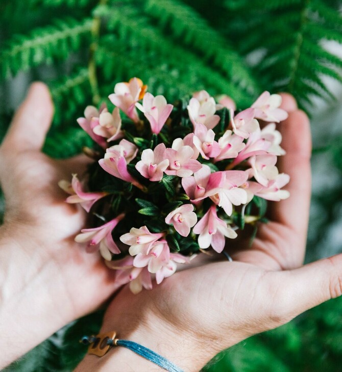 CHECK Plant Sitting: Κάποιοι θα προσέχουν τα φυτά σας όσο εσείς κάνετε διακοπές 