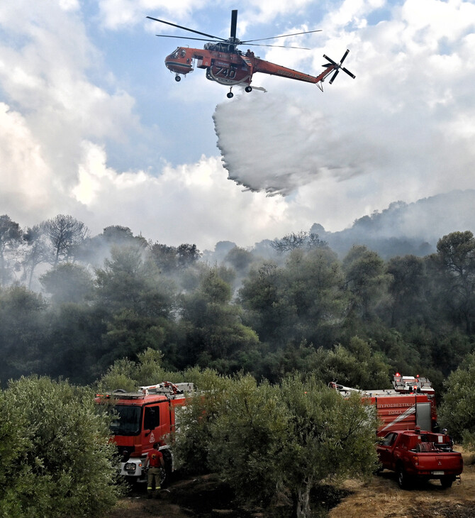 Φωτιά σε Εύβοια και Τύρναβο- Ισχυρές πυροσβεστικές δυνάμεις για την κατάσβεσή τους εν μέσω καύσωνα