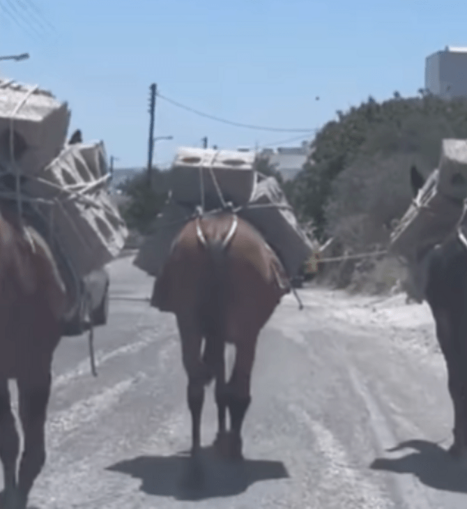 Μουλάρια κουβαλούν τσιμεντόλιθους παρά τον καύσωνα «Κλέων» 