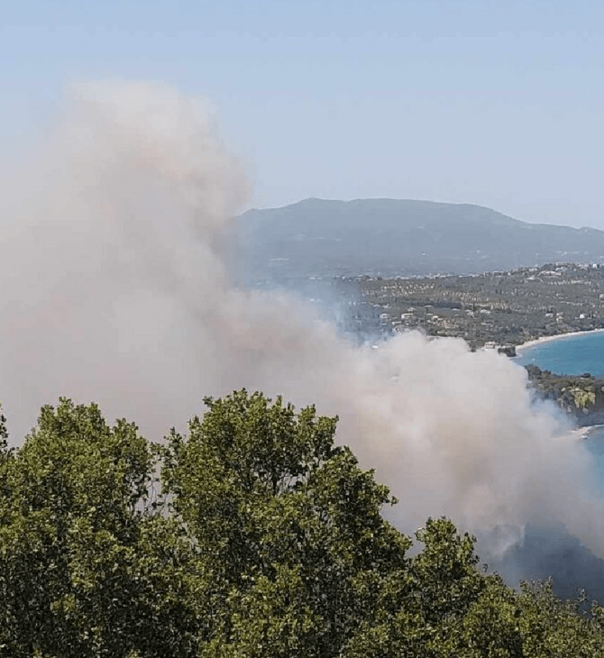 Φωτιά στη Μεσσηνία: 