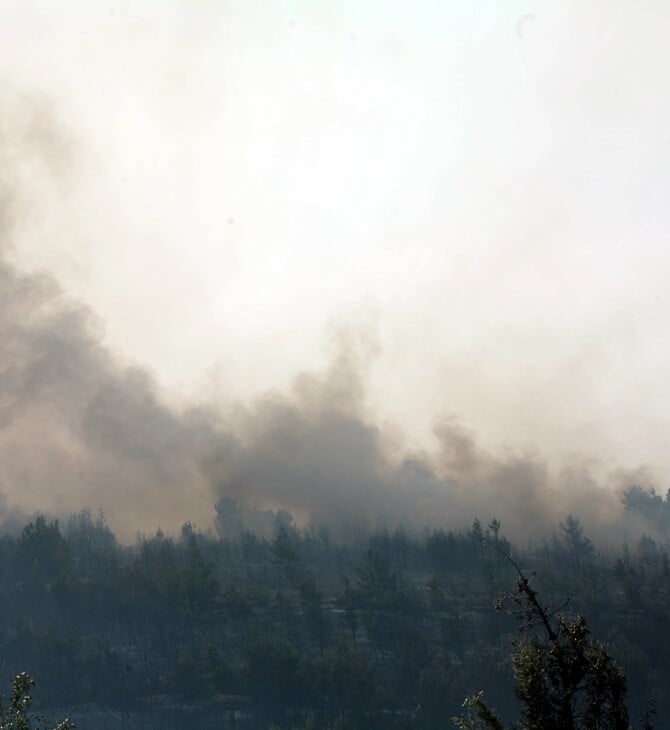 Φωτιά στο Πήλιο: Καίει ελαιώνες, υπάρχουν κοντά κατοικίες 