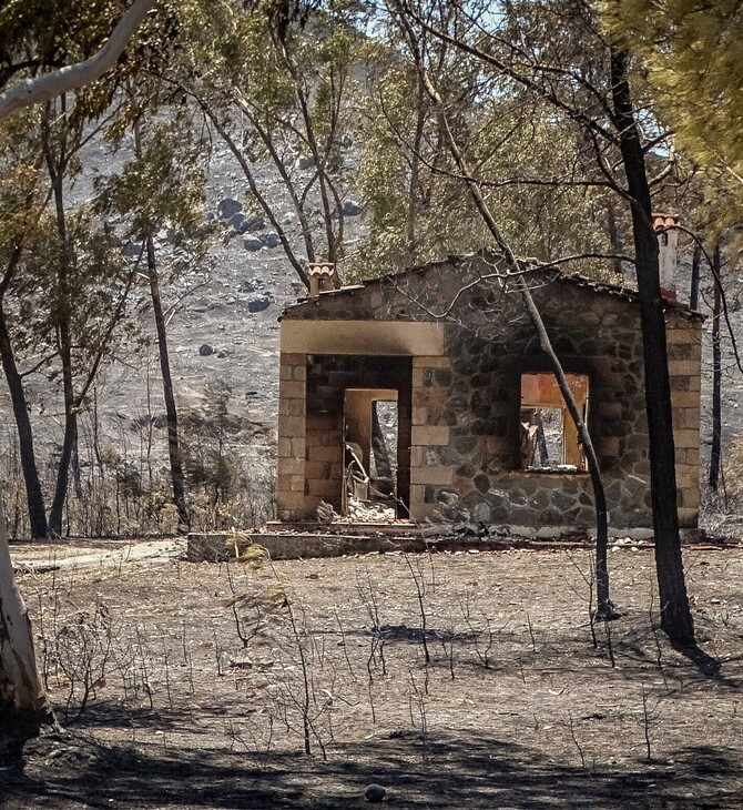 WWF: Ποιά είναι η καταστροφή στη Ρόδο πως θα έρθει η αναγέννηση