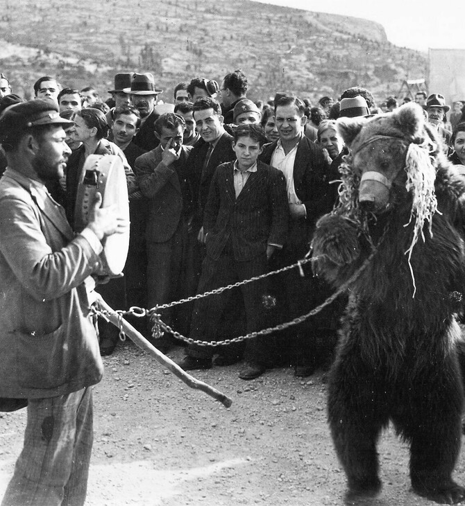 Οι Έλληνες ανέκαθεν φέρονταν στα ζώα με σκληρότητα