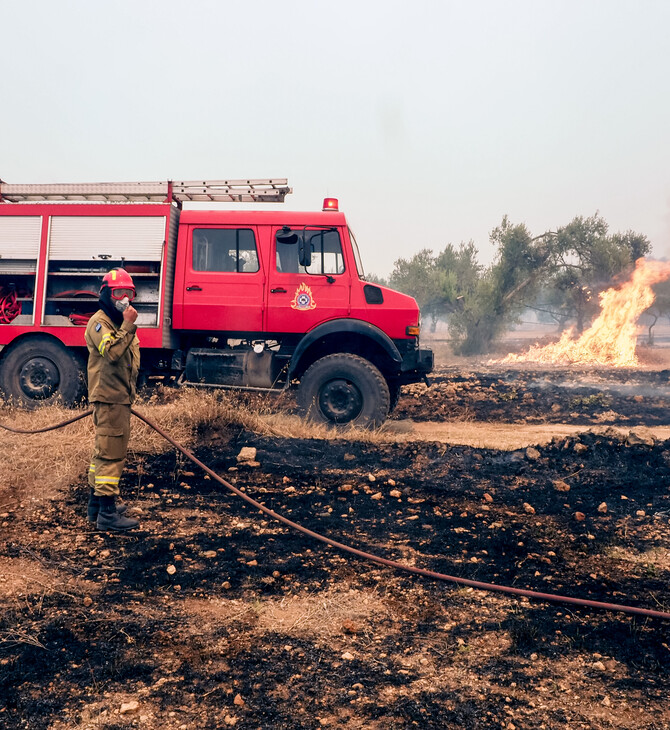 Φωτιά στην Εύβοια: Σε ένα μέτωπο κινείται η πυρκαγιά - Πέφτουν οι ισχυροί άνεμοι