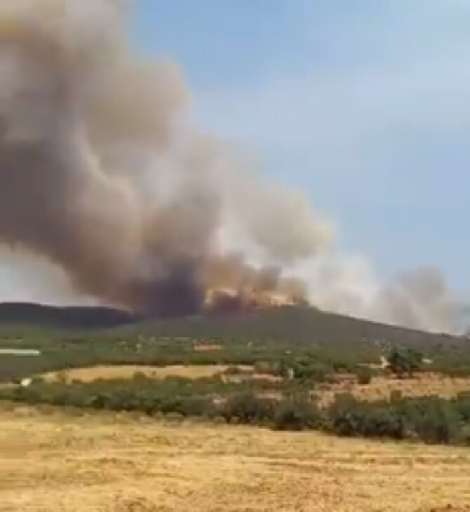 Φωτιά τώρα κοντά στον Πολύγυρο Χαλκιδικής και στα Καλύβια Αττικής