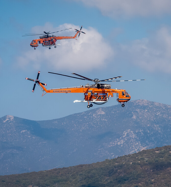 Φωτιά τώρα στην Εύβοια