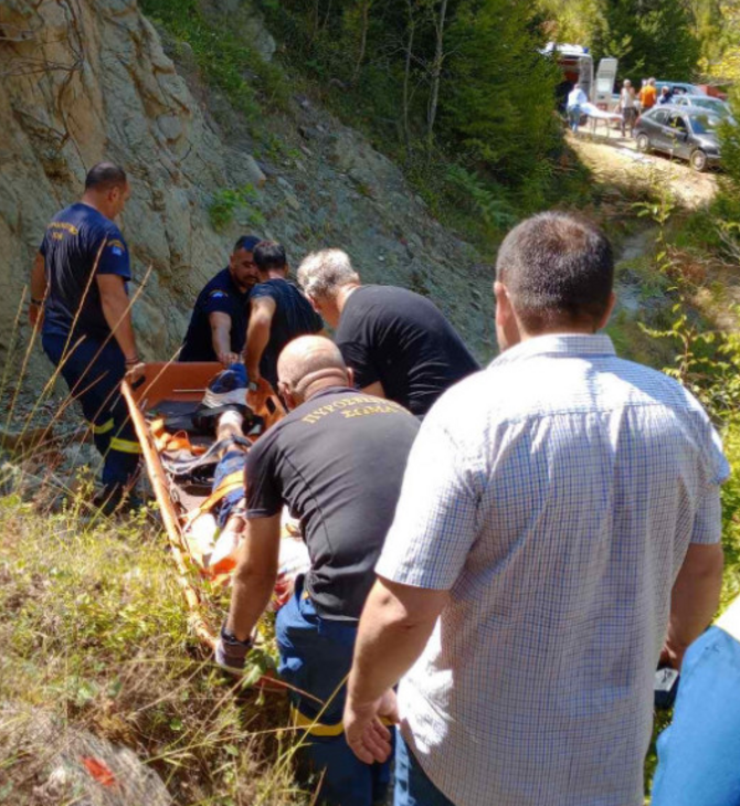 Άρτα: Επίθεση αρκούδας σε άνδρα- Τραυματίστηκε σοβαρά