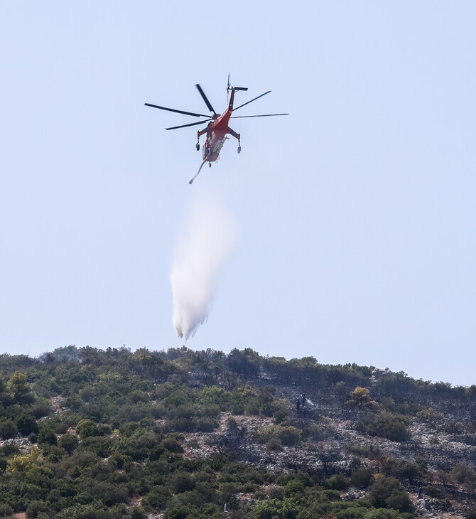 Φωτιά τώρα στη Μεσσηνία- Επιχειρούν εναέρια μέσα