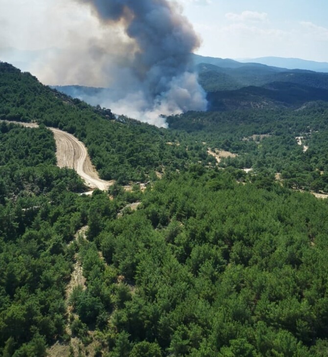 Αποτίμηση επιπτώσεων από την πυρκαγιά στο Εθνικό Πάρκο Δάσους Δαδιάς - Λευκίμης Σουφλίου