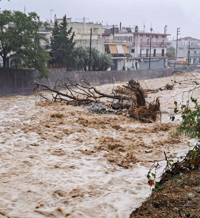 Βόλος: Ακατάλληλος για αλίευση ο Παγασητικός- Εξετάζεται χρηματοδότηση στους ψαράδες