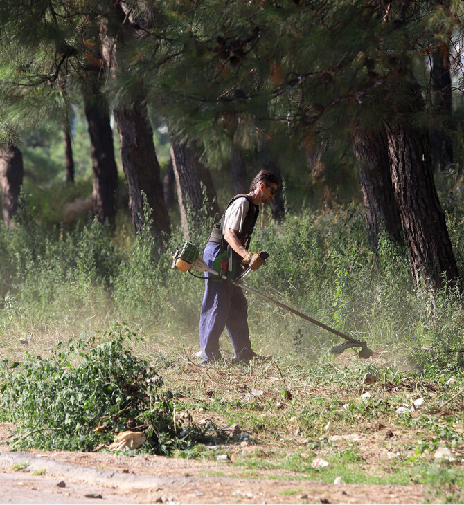 Δάση: Διαχείριση και προστασία με χρηματιστήριο ρύπων