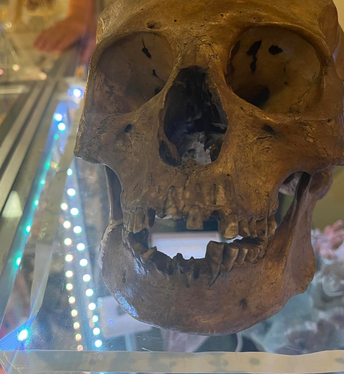 Ανθρώπινο κρανίο βρέθηκε σε φιλανθρωπικό κατάστημα της Φλόριντα στο τμήμα Halloween