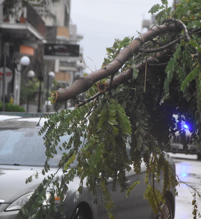 Κακοκαιρία Bettina: Δέντρο έπεσε σε αυτοκίνητο, τραυματίστηκε οικογένεια