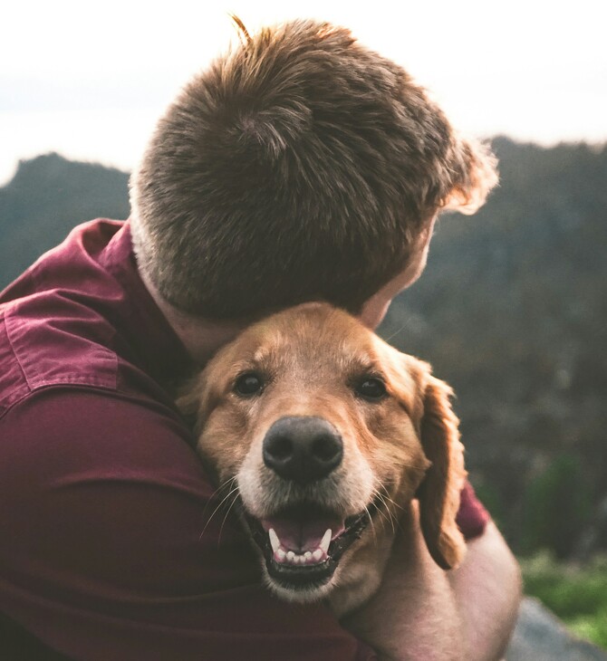 Τι μπορούν να μας διδάξουν τα golden retriever για τον καρκίνο;