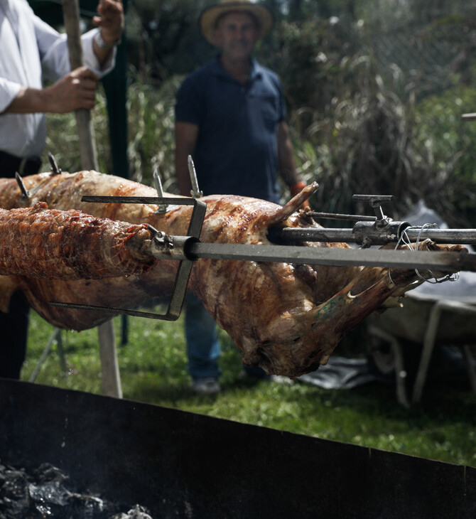 Πάσχα: Ο συμβολισμός πίσω από το αρνί - Πώς συνδέεται με το εβραϊκό «πεσάχ»