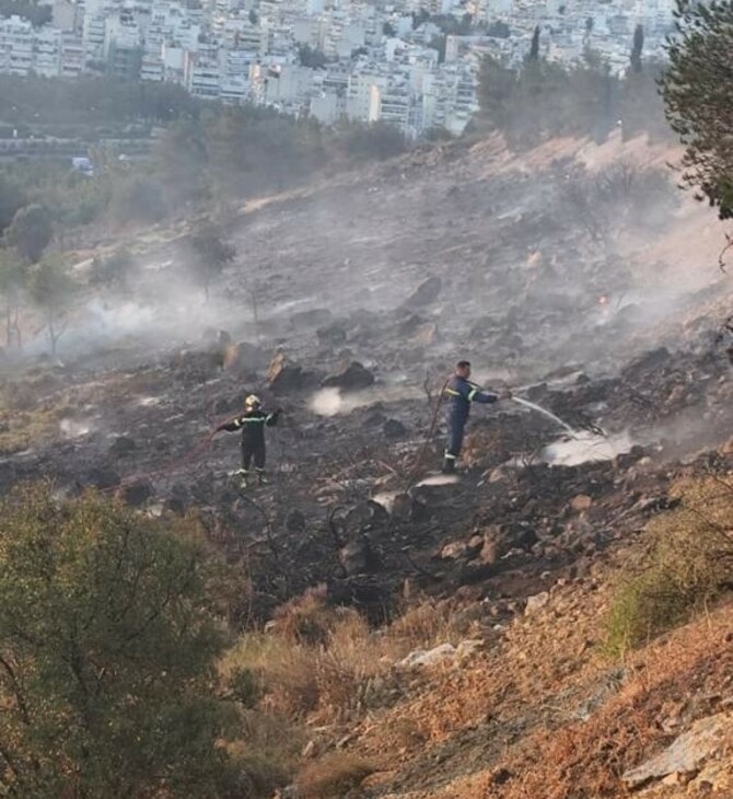 Η φωτιά στο Άλσος Βεΐκου προκλήθηκε από βεγγαλικά που πέταξαν ανήλικοι