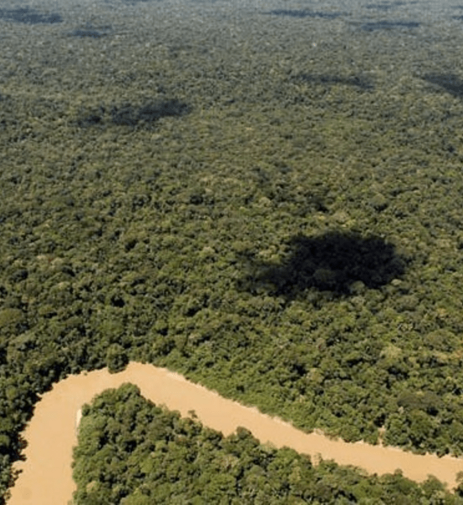 Βραζιλία: Η αποψίλωση στην σαβάνα Σεχάντου ξεπέρασε αυτήν στο τροπικό δάσος του Αμαζονίου