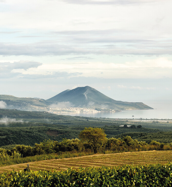 Messinia Terroirs