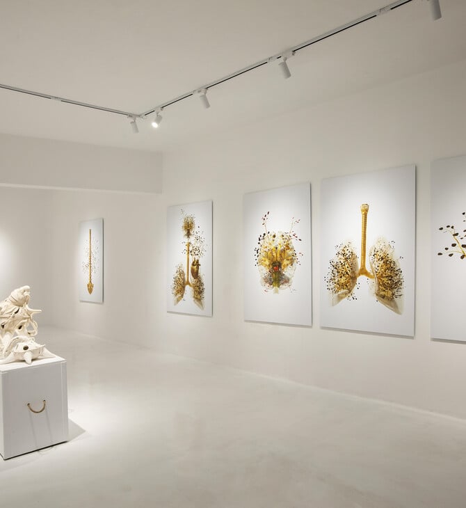 Costas Picadas: Anatomy unveiled