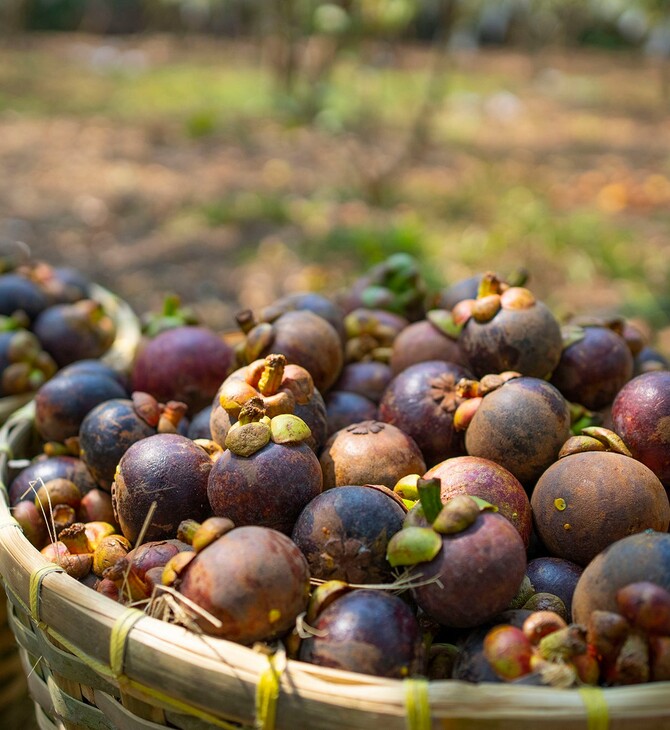 Mangosteen: Tο viral φρούτο του Tik Tok 