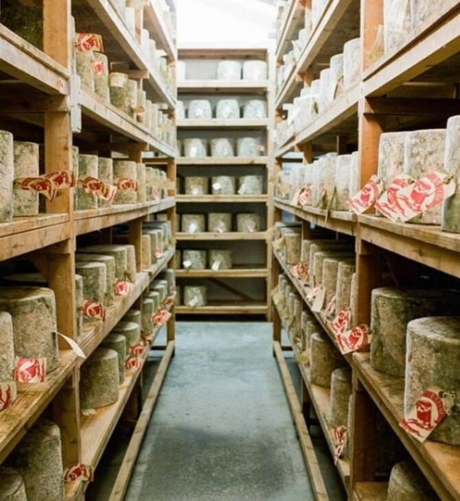 Αγγλία: Άνδρας έκλεψε 22 τόνους τυριού cheddar αξίας £300.000