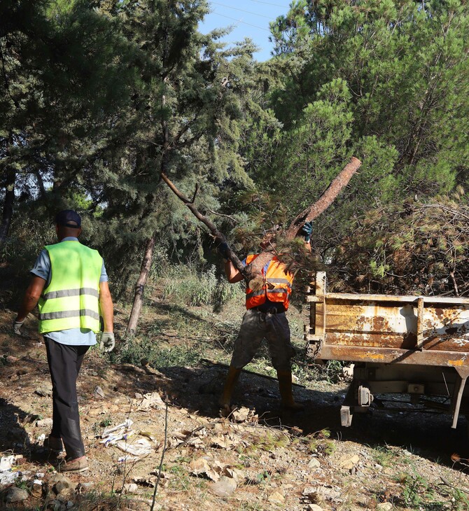 Δάση: Βροχή εκατομμυρίων για δράσεις προστασίας − υπάρχει αποτέλεσμα;