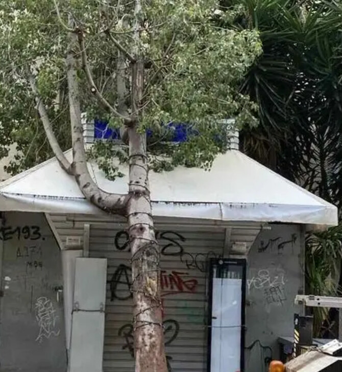 Κρήτη: Δέντρο ξεριζώθηκε και έπεσε σε περίπτερο
