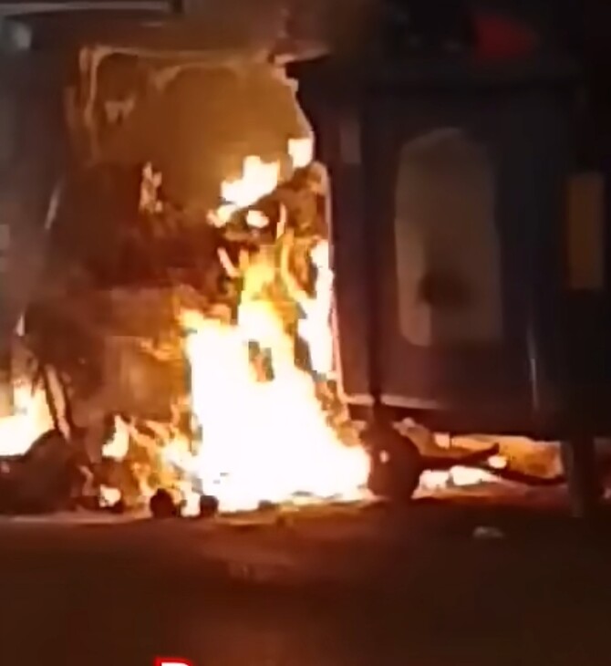 Ψαχνά: Έβαλαν φωτιά σε κάδο που είχε μέσα κουτάβια