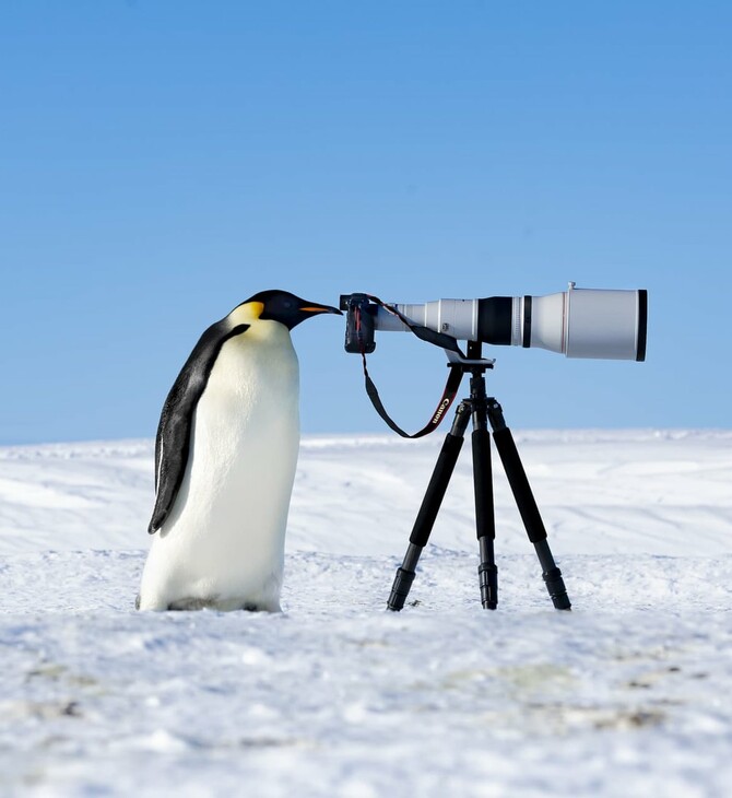 Οι νικητές και οι φιναλίστ του Nature Photography Contest 2024