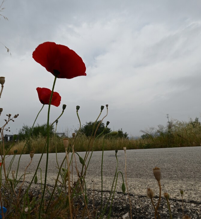 Καιρός: Εβδομάδα με υψηλές θερμοκρασίες και αφρικανική σκόνη