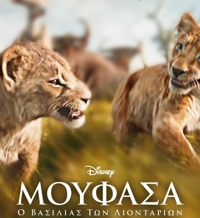 Η ΤΑΙΝΙΑ ΤΗΣ DISNEY «ΜΟΥΦΑΣΑ: Ο ΒΑΣΙΛΙΑΣ ΤΩΝ ΛΙΟΝΤΑΡΙΩΝ» ΕΙΝΑΙ ΤΩΡΑ ΔΙΑΘΕΣΙΜΗ ΣΤΟ DISNEY+