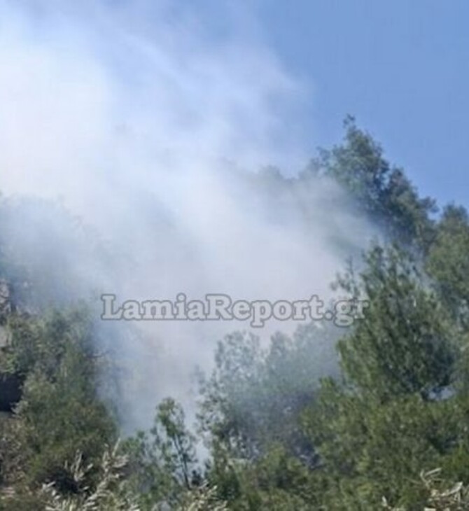 Φωτιά τώρα στη Φθιώτιδα: Καίγεται αγροτοδασική περιοχή στον Λογγό 