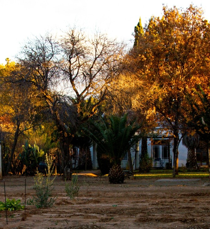 Ακαθάριστα οικόπεδα: Ανακοινώθηκε παράταση - Μέχρι πότε οι δηλώσεις