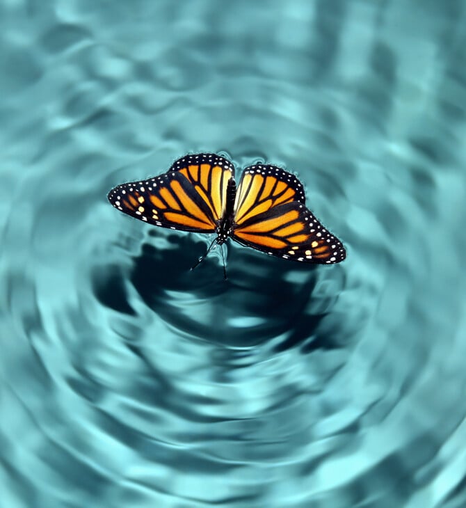 Τι είναι το Butterfly Effect και γιατί έχει γίνει viral στο TikTok