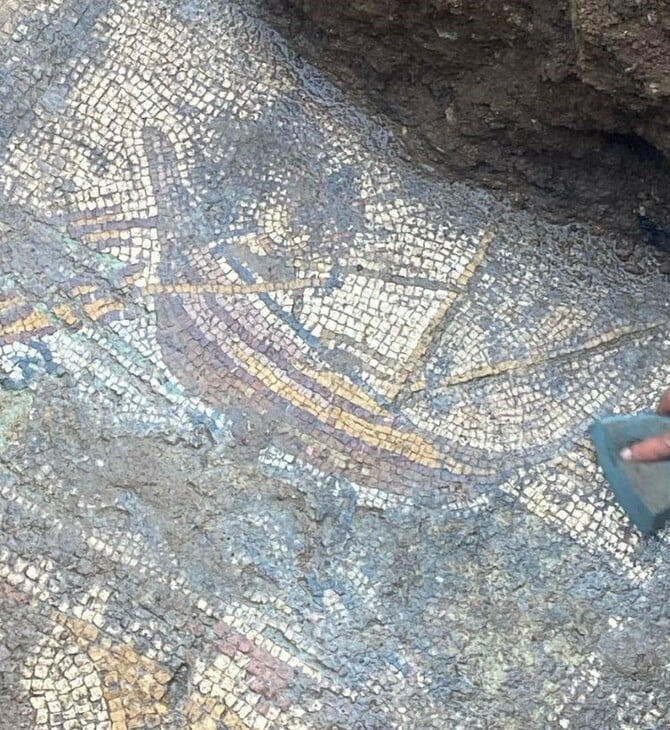 Βρέθηκε εντυπωσιακό μωσαϊκό σε ερείπια στη Νίκαια της Βιθυνίας