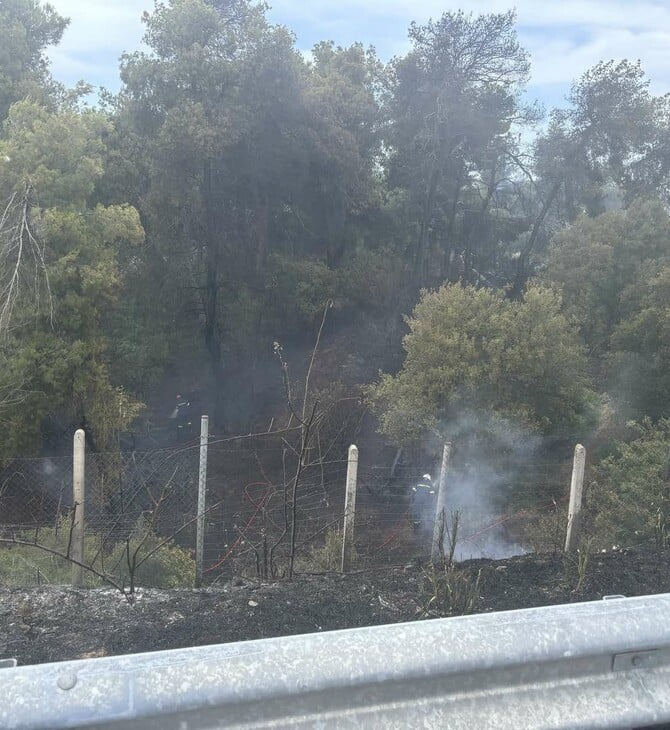 Φωτιά τώρα στον Αυλώνα - Καίγεται χαμηλή βλάστηση