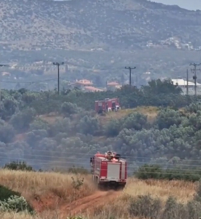 Μαρκόπουλο: Καλύτερη εικόνα από τη φωτιά - Συνεχίζεται η επιχείρηση κατάσβεσης