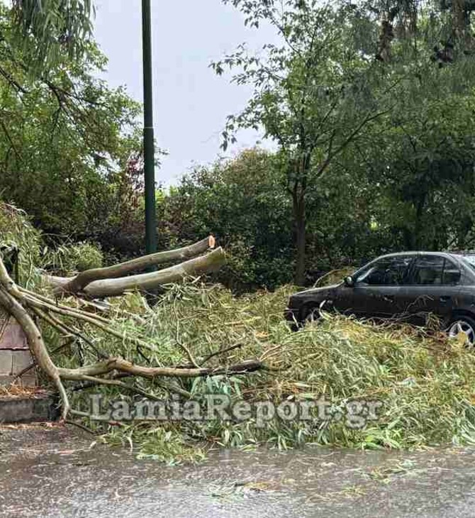 Μπουρίνι στη Λαμία: Πτώσεις δέντρων, πλημμυρισμένοι δρόμοι και πολύωρο μπλακάουτ