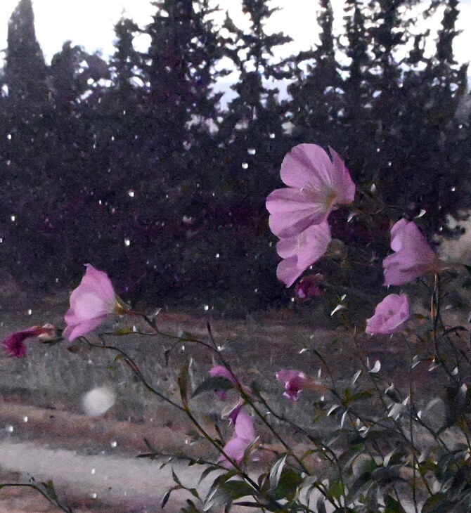 Καιρός: Χάρτες meteo για την αστάθεια - Πού αναμένονται βροχές και καταιγίδες σήμερα
