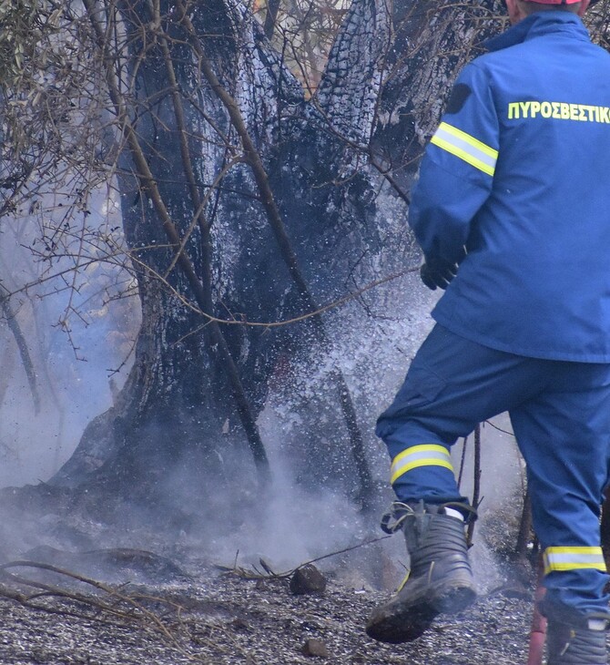 Φωτιά στη Μεσσηνία: Επιχειρούν 40 πυροσβέστες και 2 αεροσκάφη