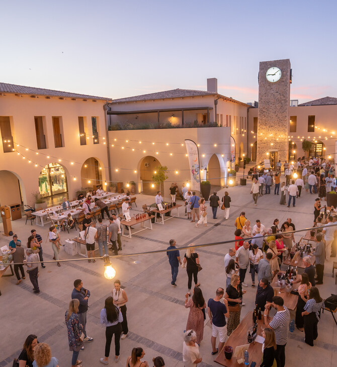 Messinia Terroirs Wine Festival: 