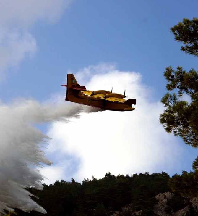Πάτρα: Φωτιά σε δασική έκταση στην περιοχή Κάτω Βελιτσές
