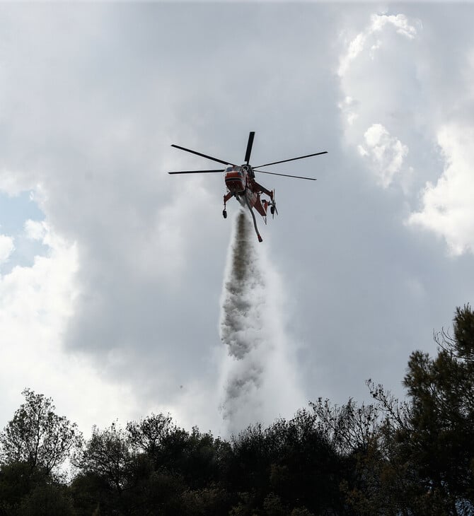 Φωτιά στην Εύβοια κοντά στην Ερέτρια – Μήνυμα 112 προς τους κατοίκους
