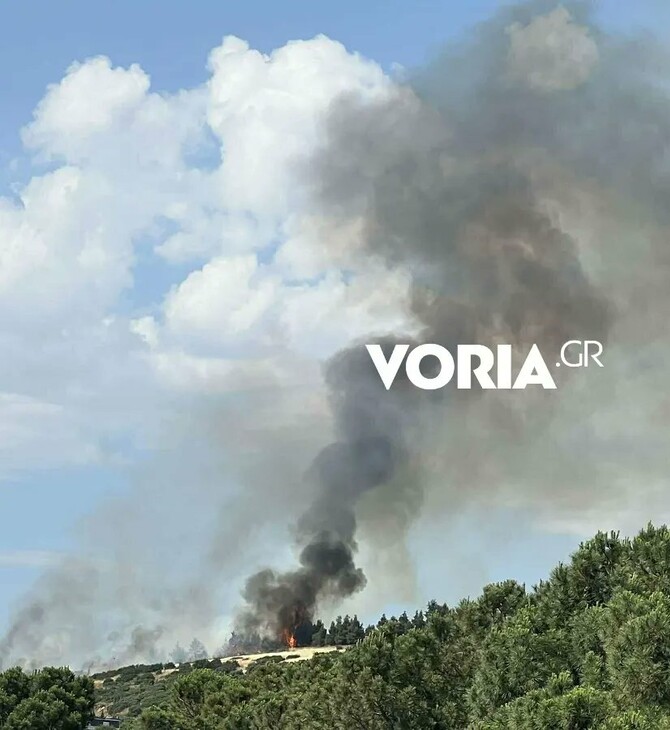 Θεσσαλονίκη: Φωτιά πίσω από το νοσοκομείο «Παπαγεωργίου» – Μαίνεται κοντά σε σπίτια
