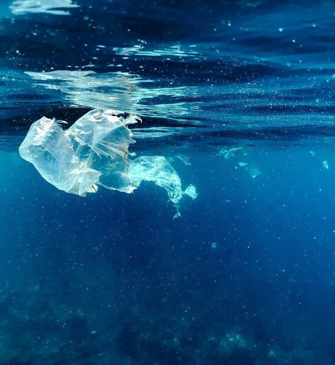 Οι χρεώσεις για τις πλαστικές σακούλες αποδίδουν: Σώζουν θαλάσσια οικοσυστήματα, δείχνει νέα μελέτη