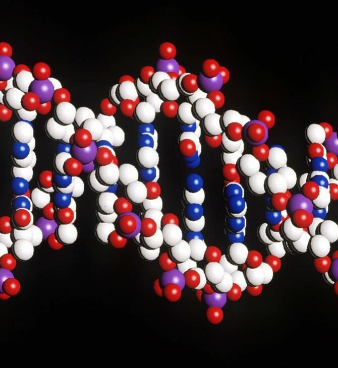 AlphaGenome: Η τεχνητή νοημοσύνη της Google «διαβάζει» τις μεταλλάξεις του DNA