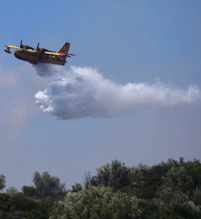 Πυροσβεστική: 48 φωτιές σε δασικές και αγροτικές περιοχές καταγράφηκαν το τελευταίο 24ωρο